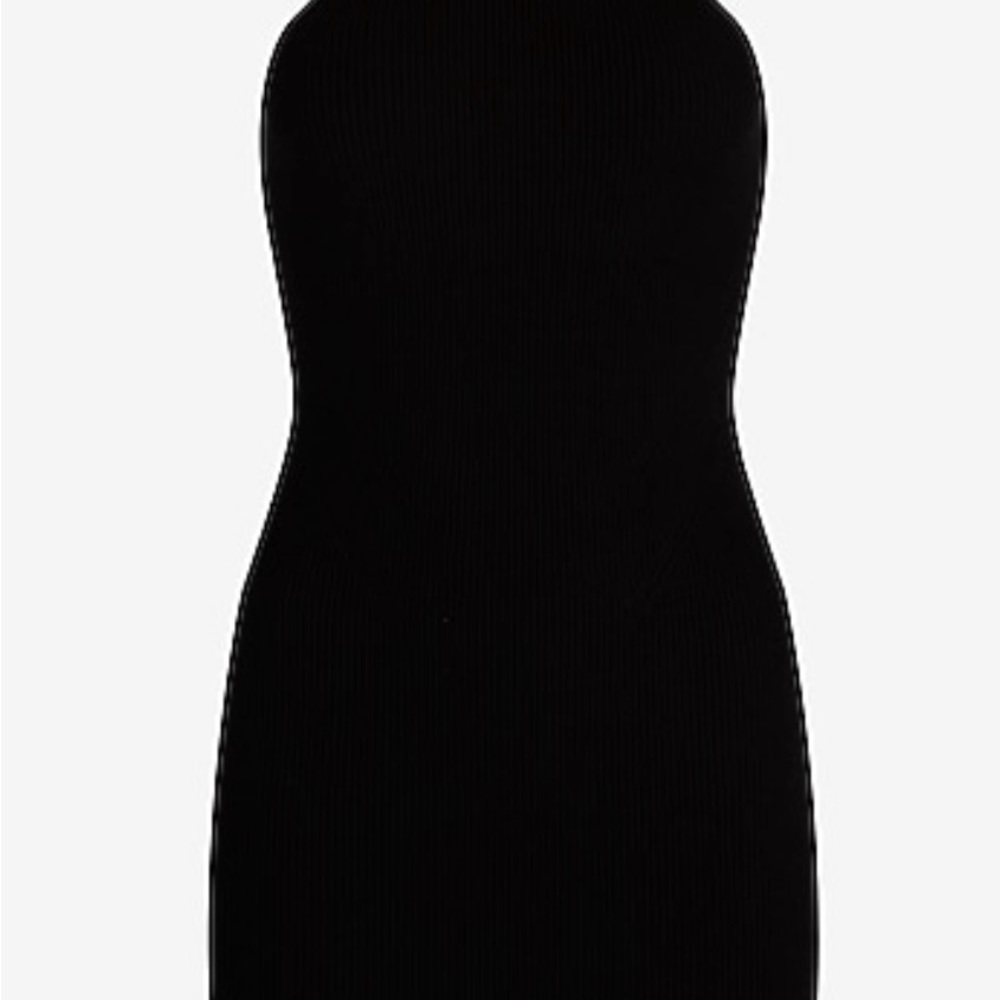 Express Ribbed High Neck Sweater Dress